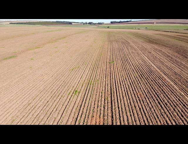110HA FARM FOR SALE IN MALMESBURY RURAL